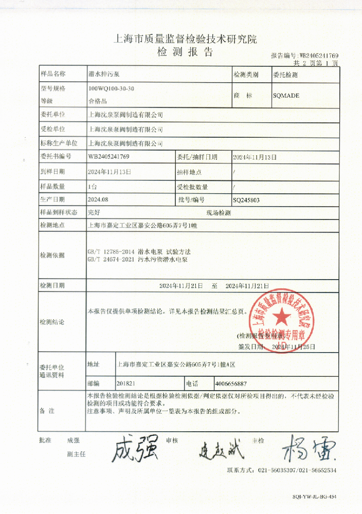 排污泵检测报告